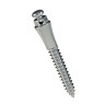 3710410 MINI PARAFUSO EXTRARRADICULAR ACO 10X4X2 MORELLI