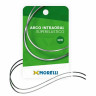 5062021-ARCO INTRAORAL CURVA REVERSA-SPEE SUPERELASTICO GRANDE NITI - 0,40X0,55MM(.016X.022)
