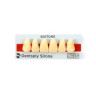 DENTE BIOTONE ANT 264 SUP 62 DENTSPLY