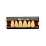 DENTE BIOTONE ANT 3M SUP 65 DENTSPLY
