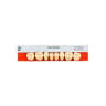 DENTE BIOTONE POST 32M INF 62 DENTSPLY