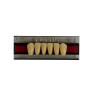 DENTE EVODENT ANT INF 2D S 60 EVODEN