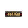 DENTE EVOTRI ANTERIOR SUP E2 S 2B EVODEN