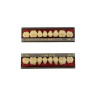 DENTE EVOTRI POSTERIOR INF M2 2B EVODEN
