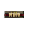 DENTE TRILUX ANTERIOR INF L1 1D