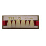DENTE TRILUX ANTERIOR SUP E2 2B