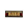 DENTE TRILUX ANTERIOR SUP I2 1A