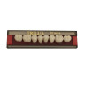 DENTE TRILUX POSTERIOR INF M2 1D