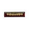 DENTE TRILUX POSTERIOR INF M6 3E