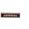 DENTE TRILUX POSTERIOR SUP M2 2B