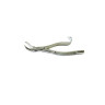 FORCEPS ADULTO N-16 GOLGRAN