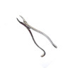FORCEPS ADULTO N-18R GOLGRAN