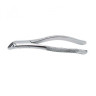 FORCEPS N-151 GOLGRAN