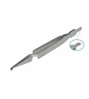 imagem-dental1