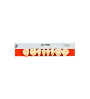 imagem-dental1