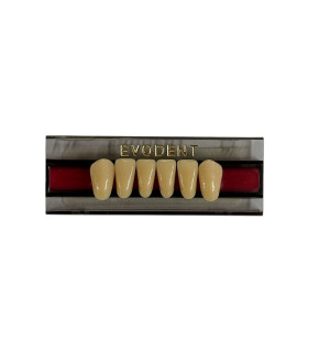 imagem-dental1