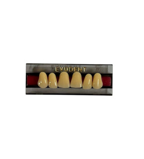 imagem-dental1