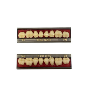 imagem-dental1