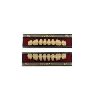 imagem-dental1