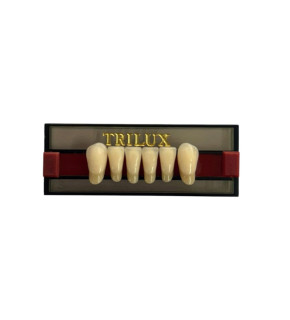 imagem-dental1