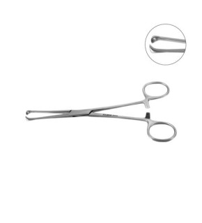 imagem-dental1