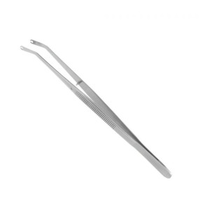 imagem-dental1
