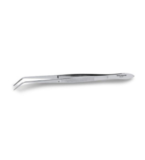 imagem-dental1